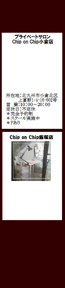 chiponchip011011.jpg